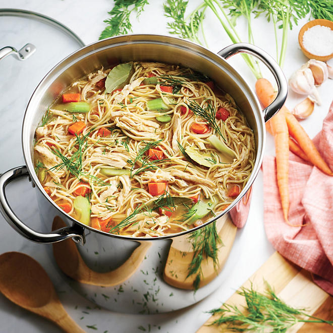 Tramontina Stainless Steel Covered Stock Pot