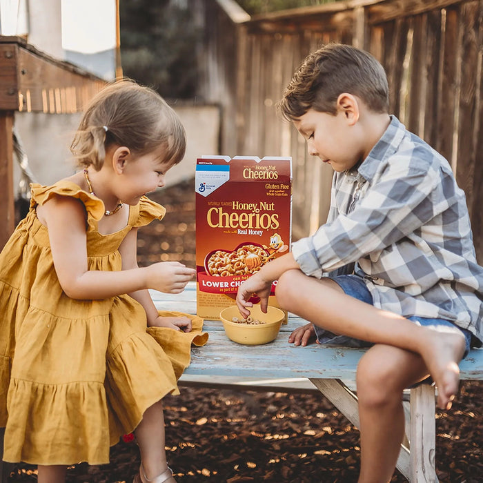 Honey Nut Cheerios Heart Healthy Breakfast Cereal (2 Pack) - ShopUSA - Kenya