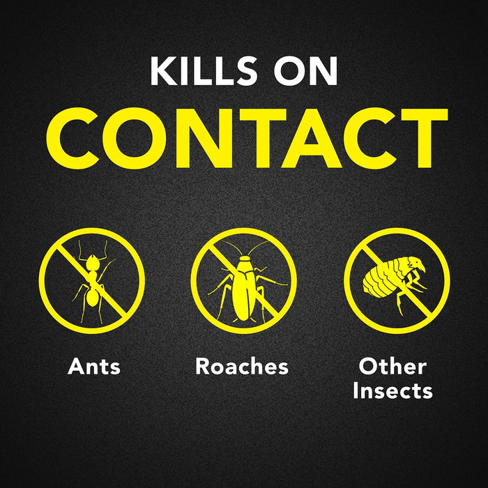 Raid Ant & Roach  Aerosol, 2pk with  Bait Trap