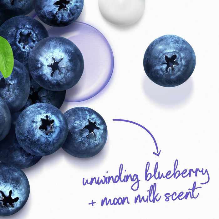 Dove Moisturizing Body  Wash 2 pack  (Assorted) (Wholesale)