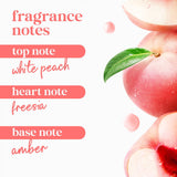 Dove Refresh & Rebalance Body Wash (2 Pack)