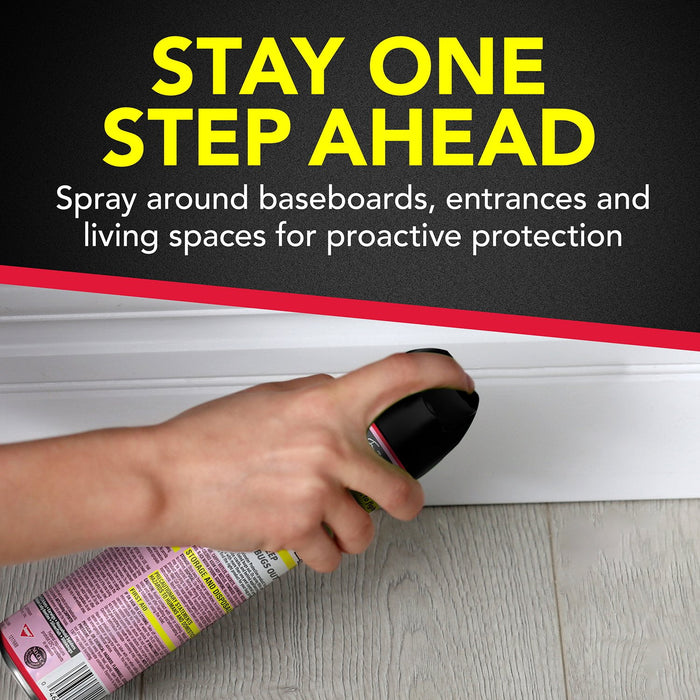 Raid Ant & Roach  Aerosol, 2pk with  Bait Trap
