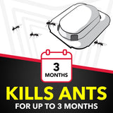Raid Ant & Roach Aerosol, 2 Pack with Bait Trap