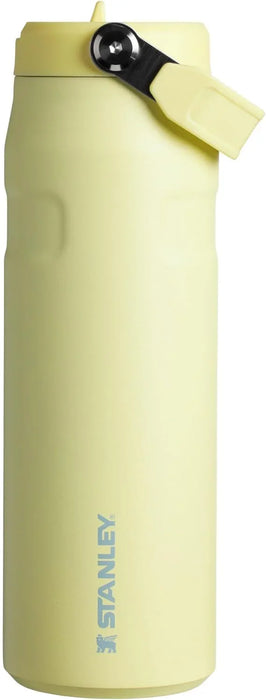 Stanley Water Bottle Flask with Flip Straw - ShopUSA - Kenya