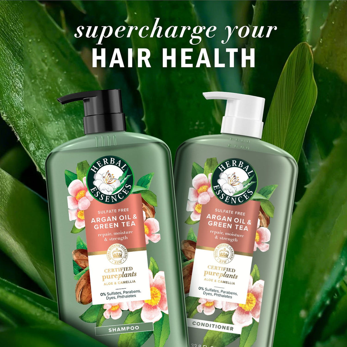 Sulfate-Free Shampoo in Kenya - Herbal Essences Argan Oil and Aloe, 2 Pack