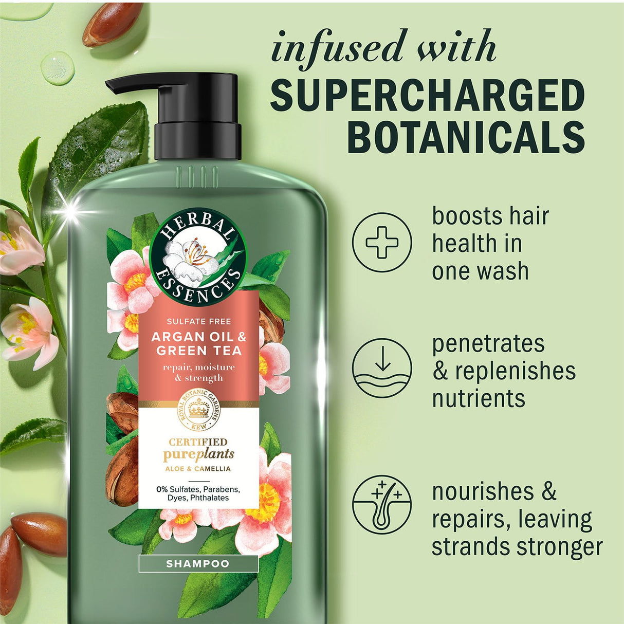 Sulfate-Free Shampoo in Kenya - Herbal Essences Argan Oil and Aloe, 2 Pack