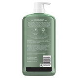 Sulfate-Free Shampoo in Kenya - Herbal Essences Argan Oil and Aloe, 2 Pack