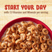Cheerios Oat Crunch Cinammon Oat Breakfast Cereal - ShopUSA - Kenya