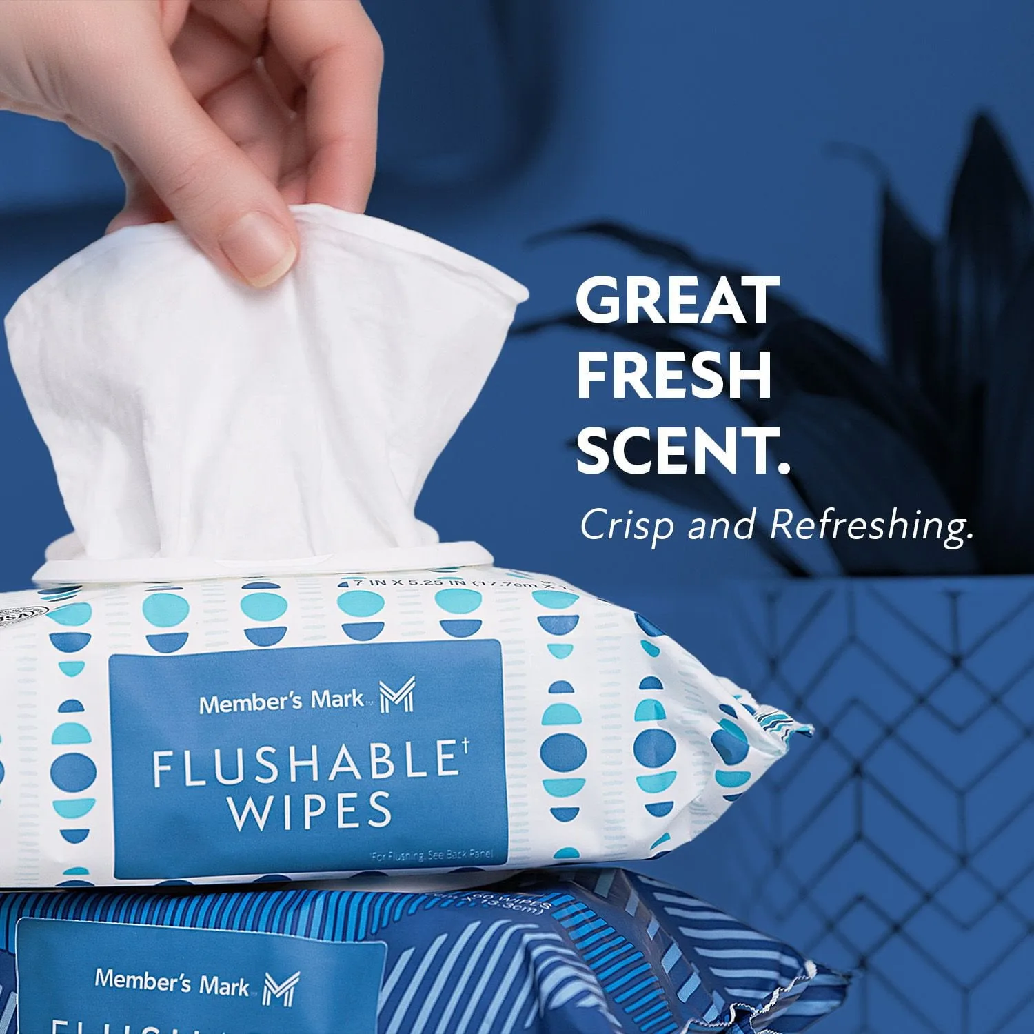 Flushable Wipes  in Kenya- Member's Mark Flushable Wipes, Scented, 540 ct.