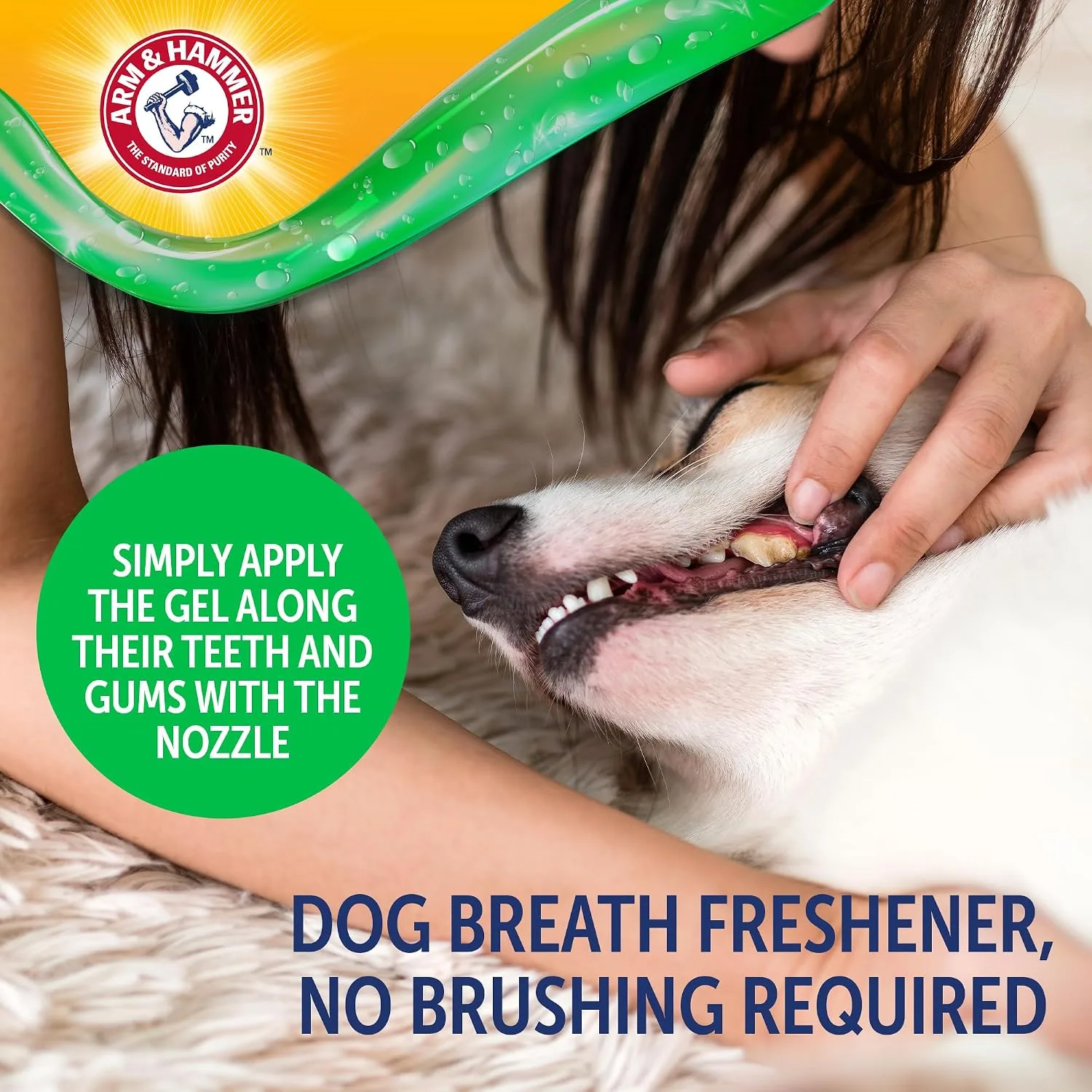 ARM & HAMMER Dog Brushless Oral Gel in Kenya