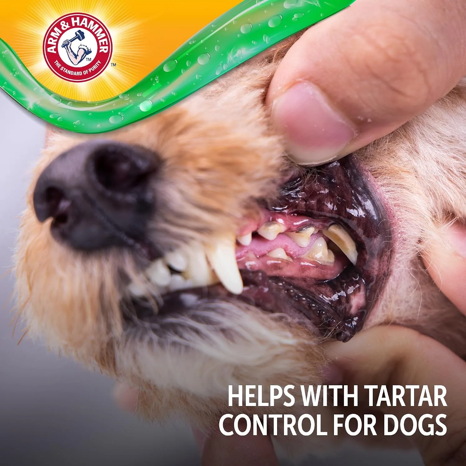 ARM & HAMMER Dog Brushless Oral Gel in Kenya
