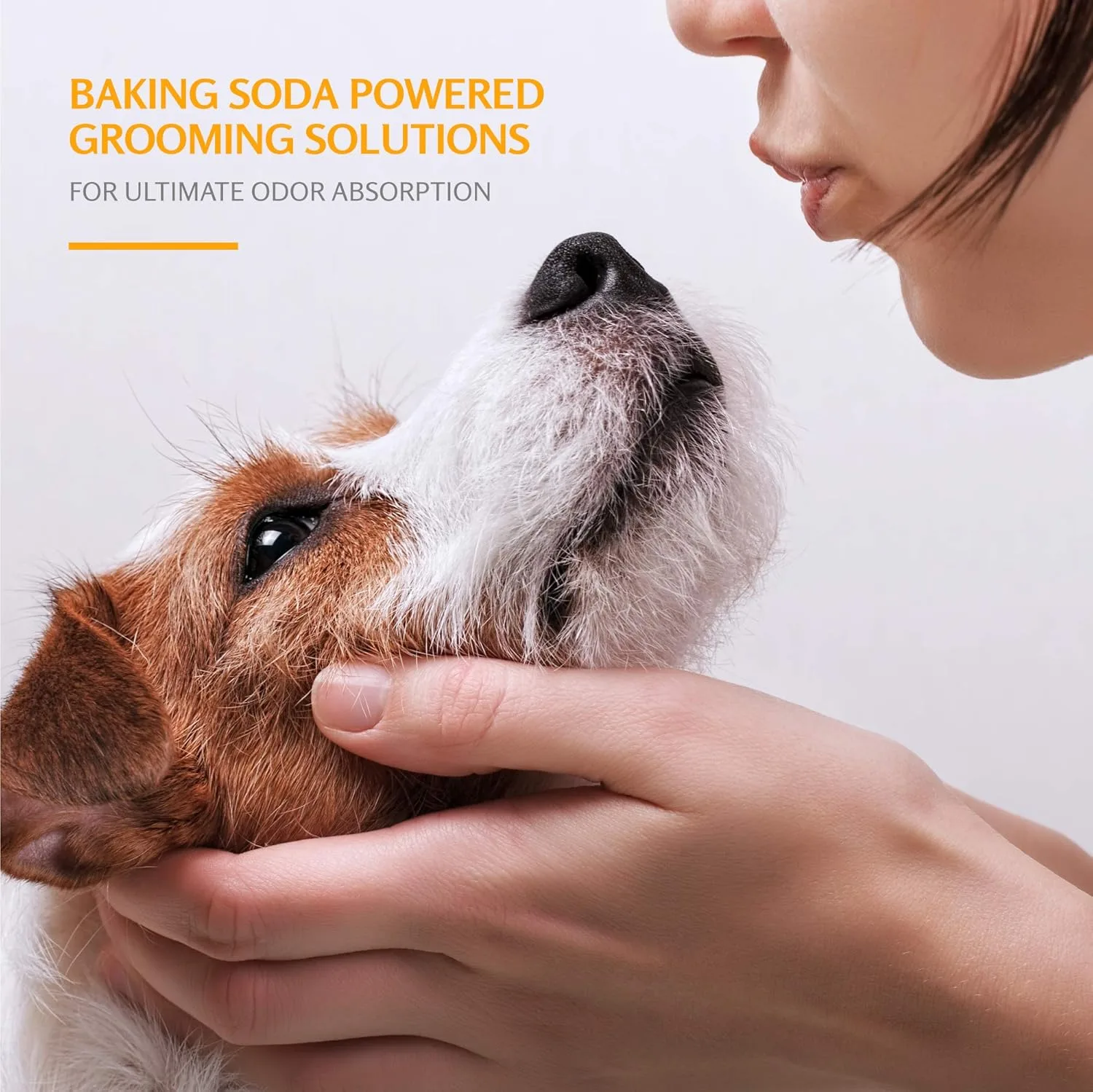 ARM & HAMMER Tearless Puppy Shampoo, in Kenya-Coconut Water 