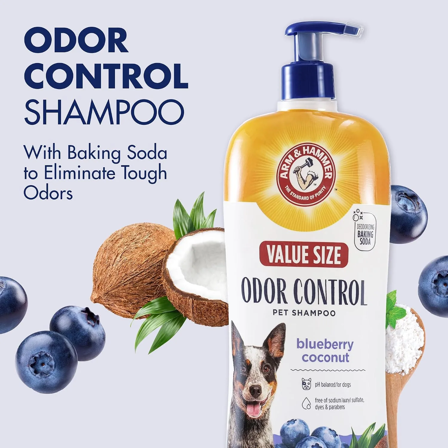 ARM & HAMMER Dog Odor Control Shampoo in Kenya-Blueberry Coconut