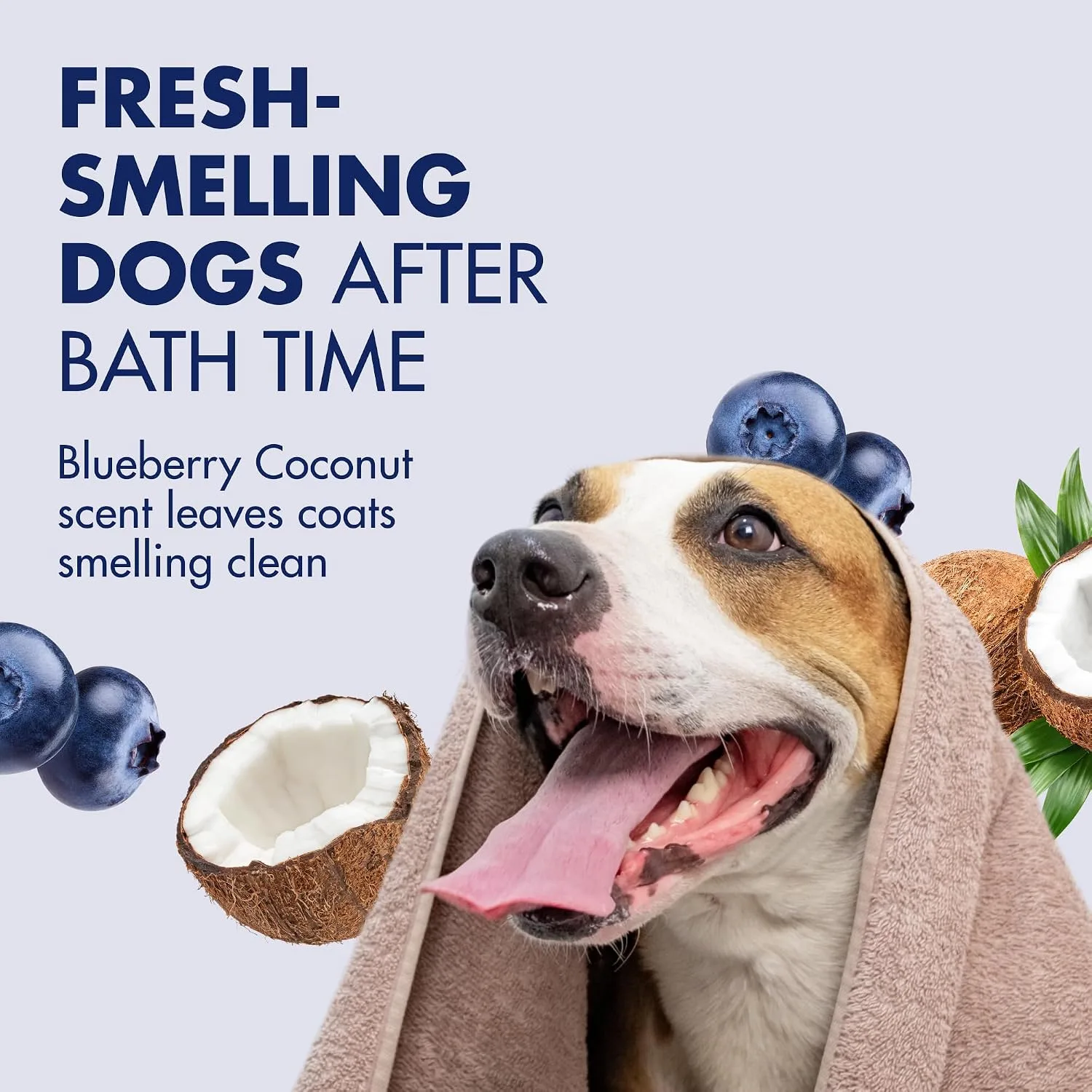 ARM & HAMMER Dog Odor Control Shampoo in Kenya-Blueberry Coconut
