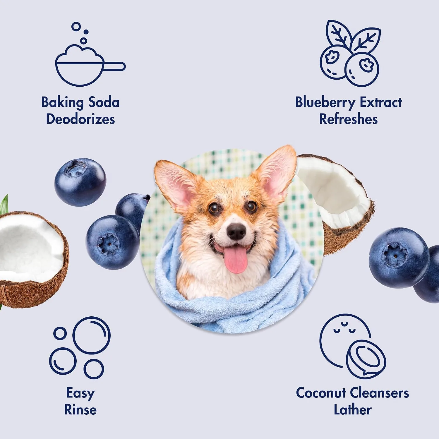 ARM & HAMMER Dog Odor Control Shampoo in Kenya-Blueberry Coconut