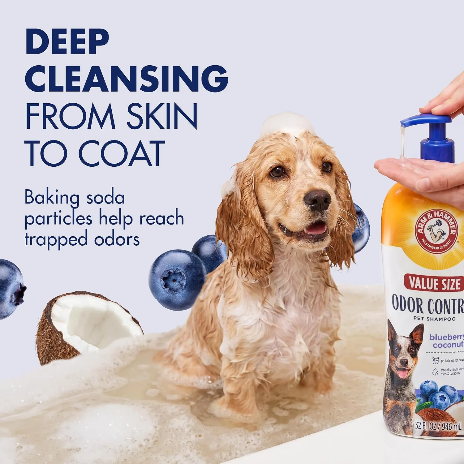 ARM & HAMMER Dog Odor Control Shampoo in Kenya-Blueberry Coconut