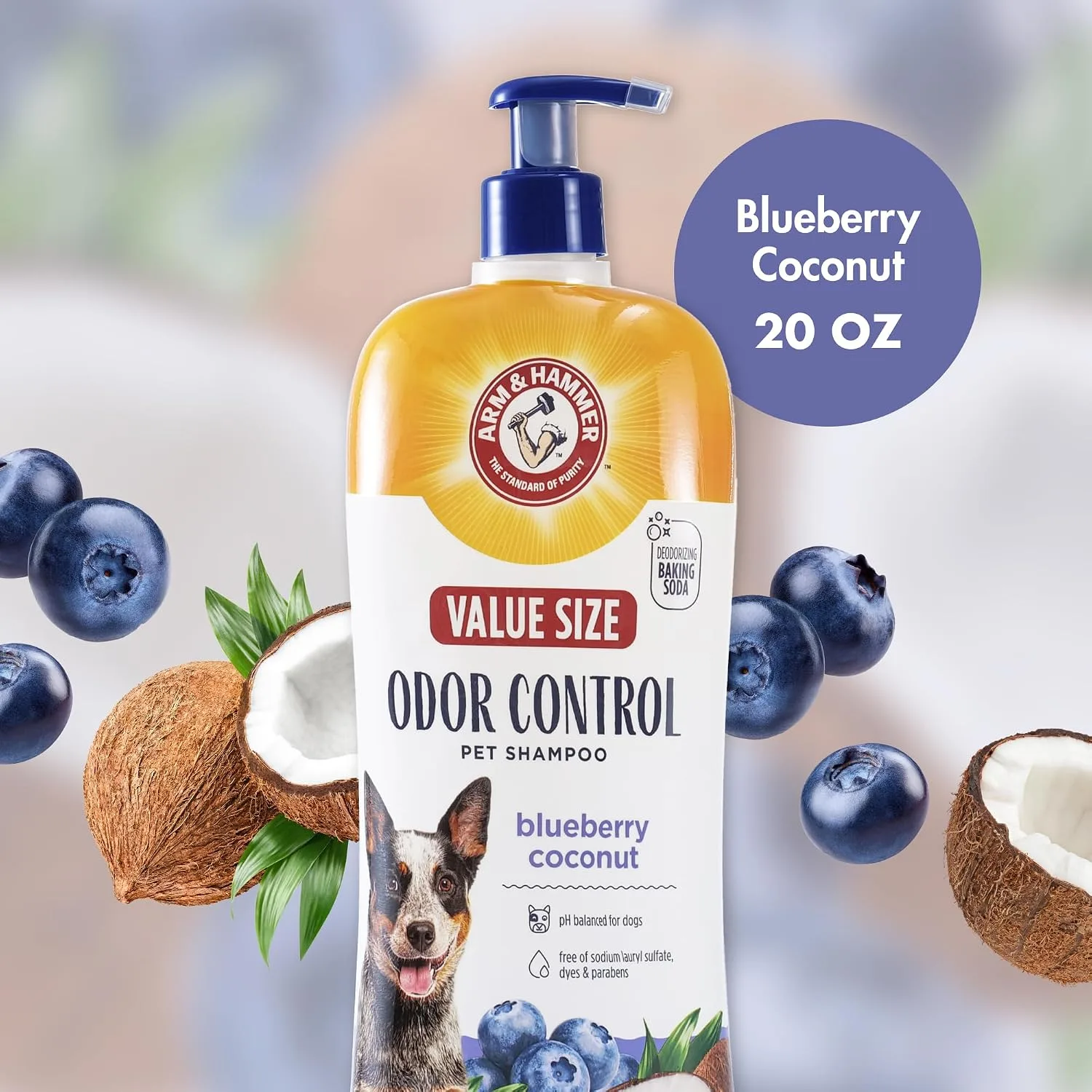 ARM & HAMMER Dog Odor Control Shampoo in Kenya-Blueberry Coconut