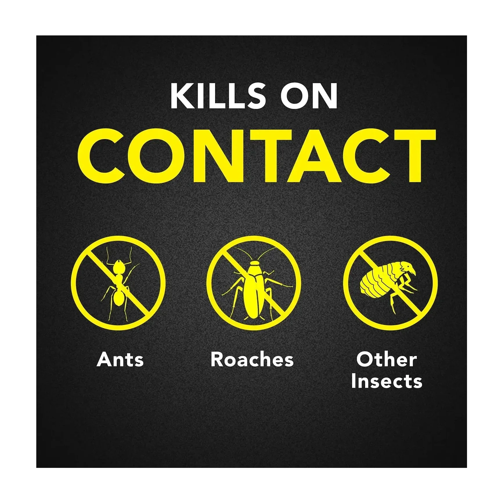 Raid Ant & Roach Aerosol, 2 Pack with Bait Trap